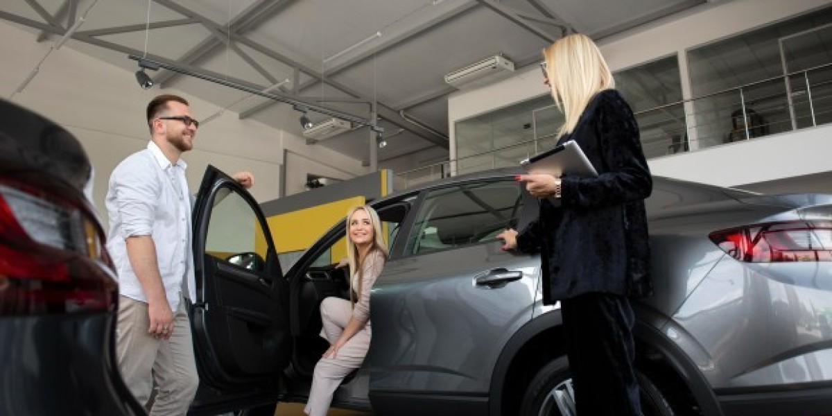 BMW Leak Repair: Professional vs. DIY Solutions