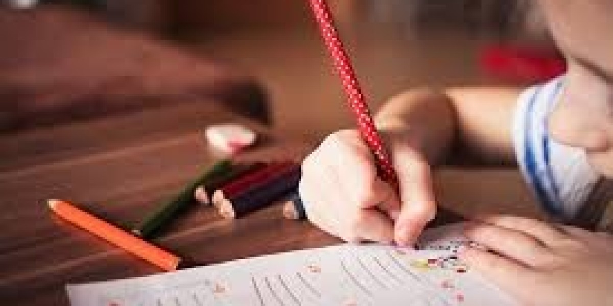 Attaining Excellence in Nursing Studies with Professional Support