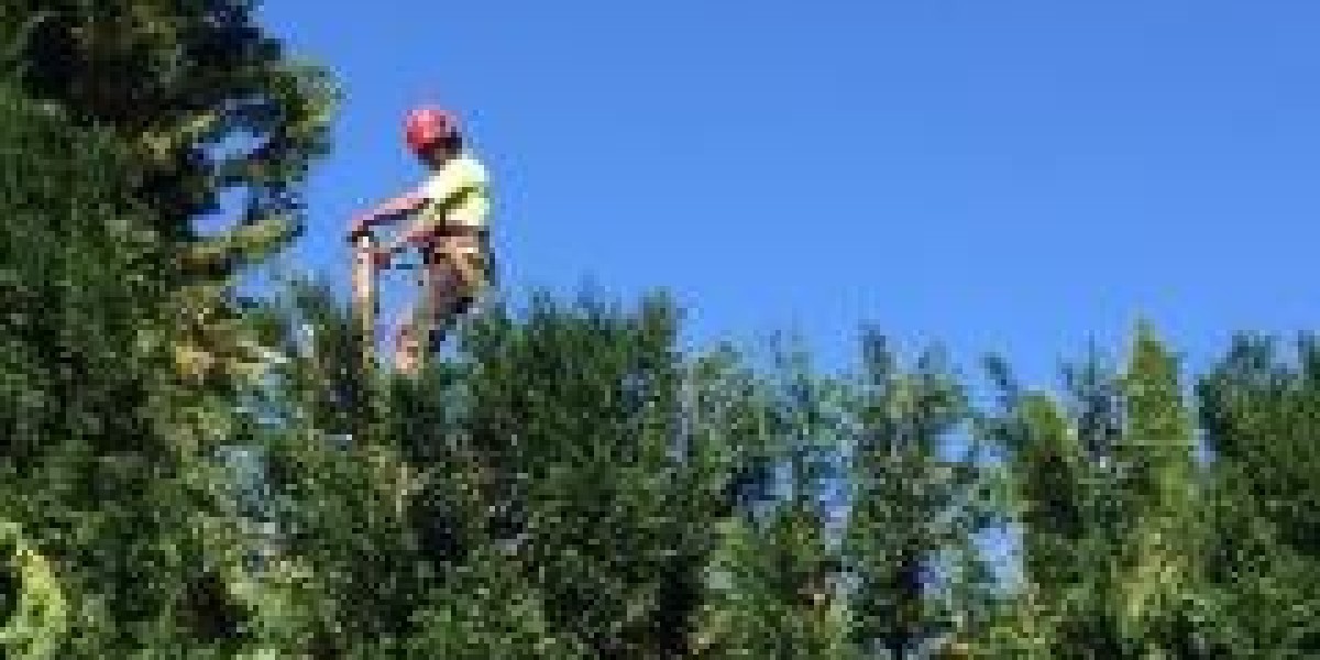 The Role of Tree Cutting in Storm Damage Prevention on the North Shore