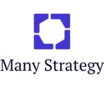 Many Strategy Profile Picture