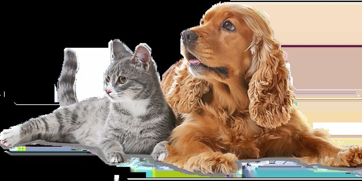 How to Provide Proper Care for Animals: Tips from a Specialist