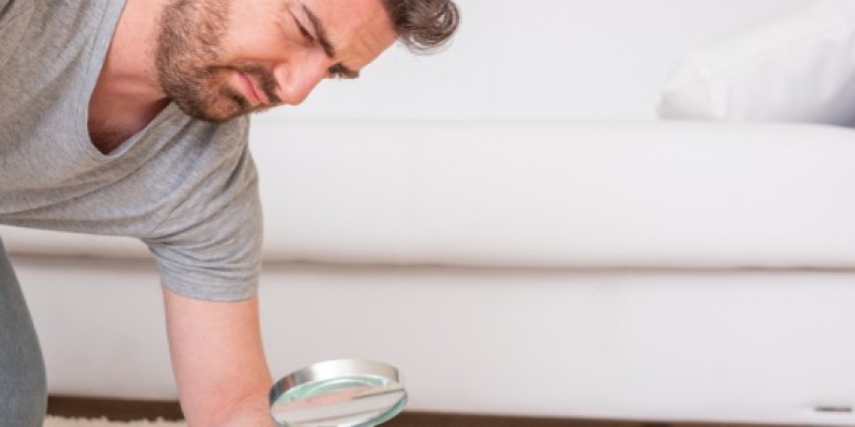 HOW TO DO FLEA TREATMENT FOR YOUR CARPET