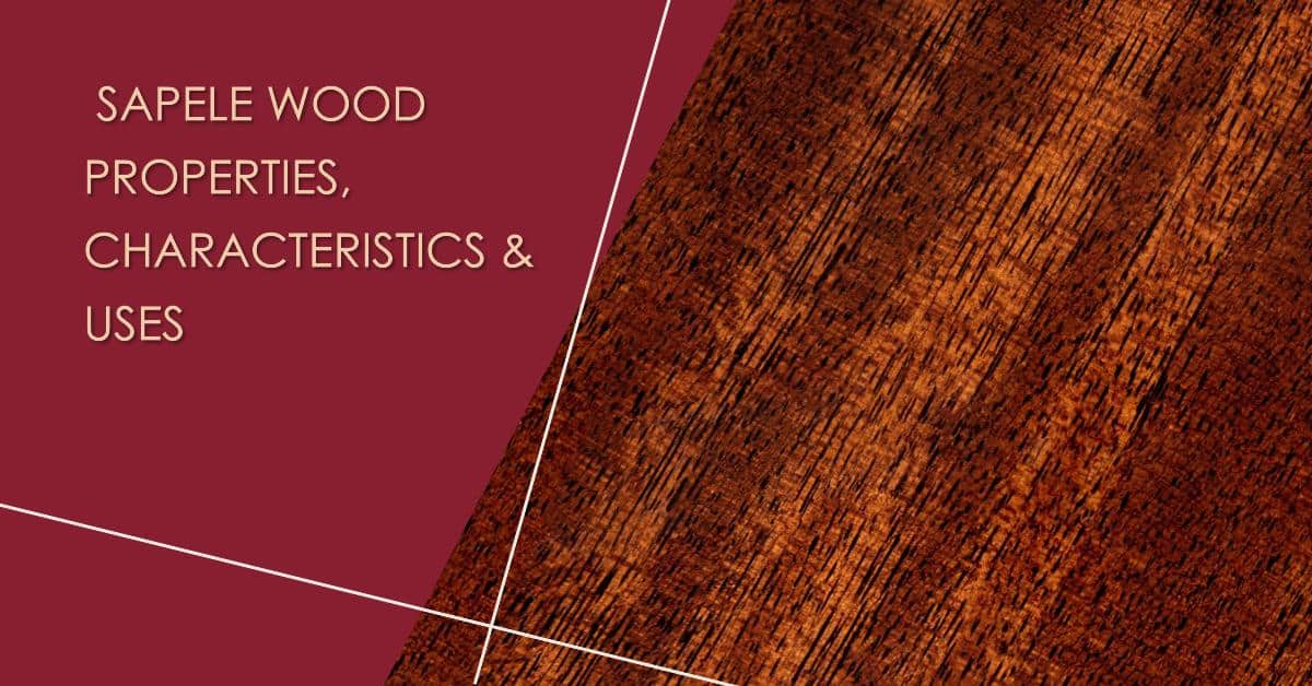 Exploring Sapele Wood Properties, Characteristics & Uses