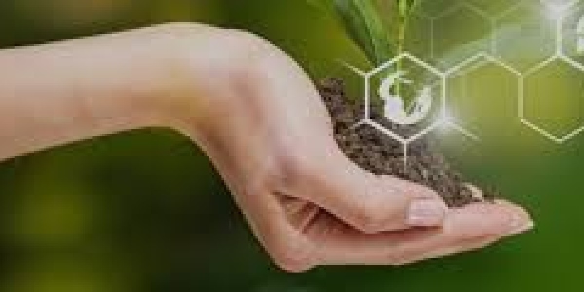 South Korea Biostimulants Market Size, Share,  Forecasts to 2032
