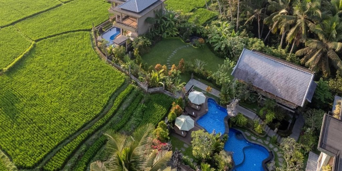 Eksplorasi Ubud: Seni, Budaya, dan Alam yang Menawan