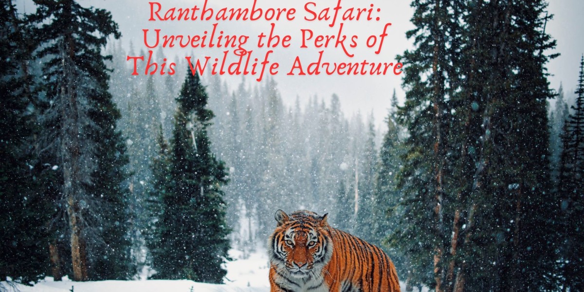 Ranthambore Safari: Unveiling the Perks of This Wildlife Adventure