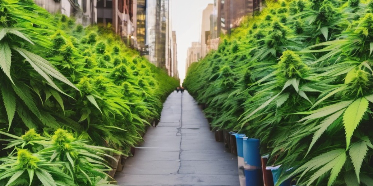Medical Marijuana vs. Street Marijuana