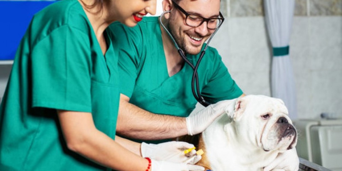 Lab Values for Dogs and Cats VIN