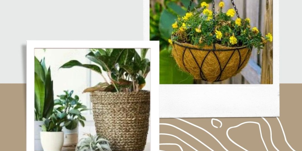 Redesign Your Space with Lovely Indoor Hanging Pots