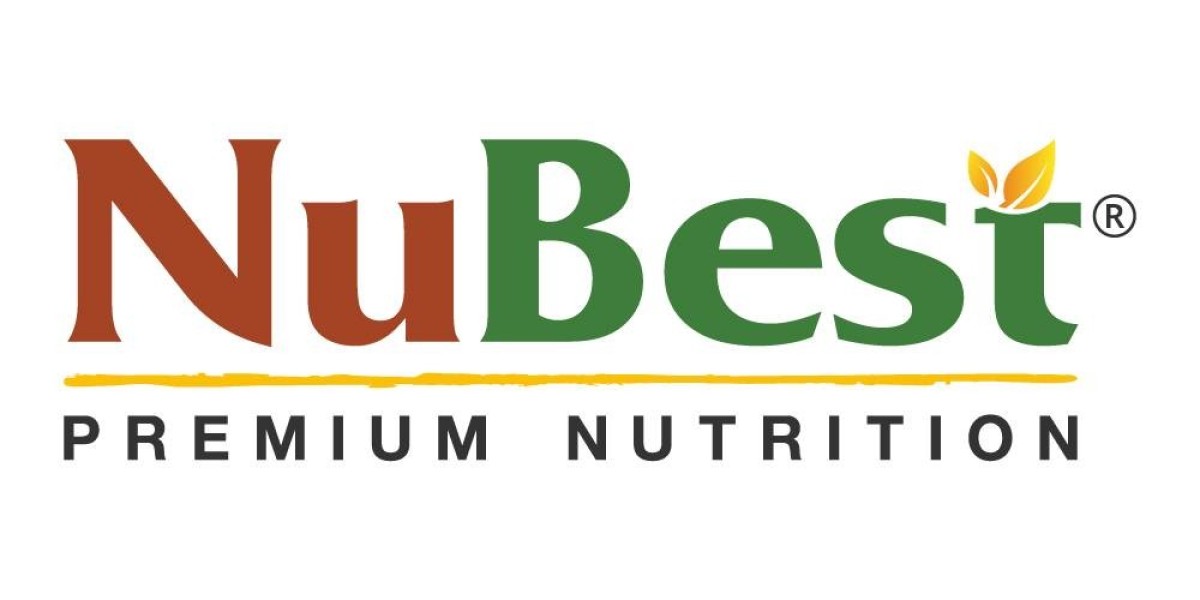 NuBest Nutrition Launches New Article: Top Six Increase Height Exercises