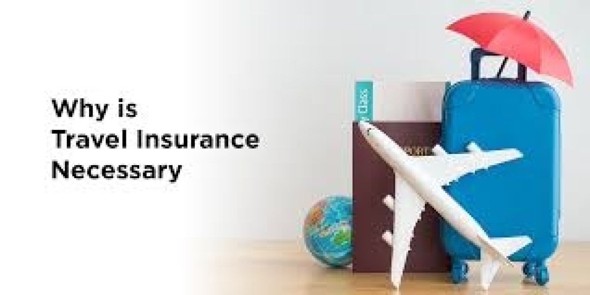 Comprehensive Guide to Travel Insurance for Individuals