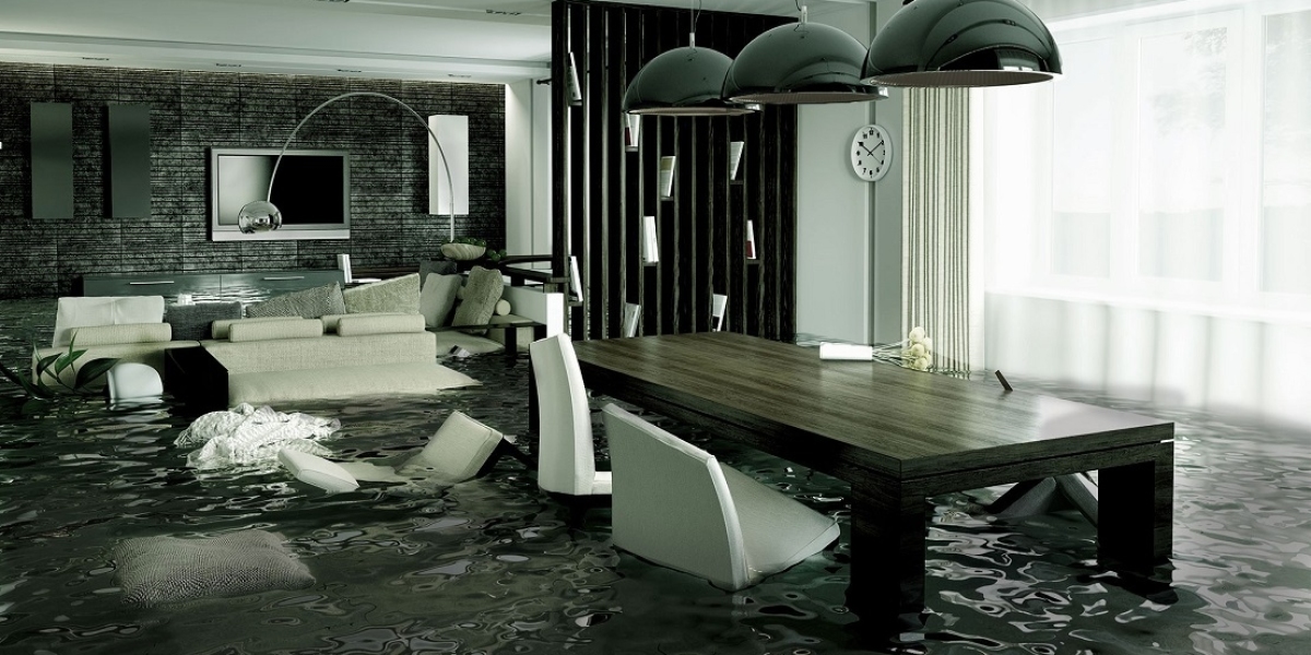 Professional Water Damage Restoration for Carpets