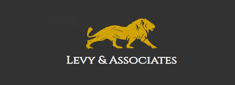 levyinjurylaw Cover Image