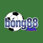 Bong88 Hair Profile Picture