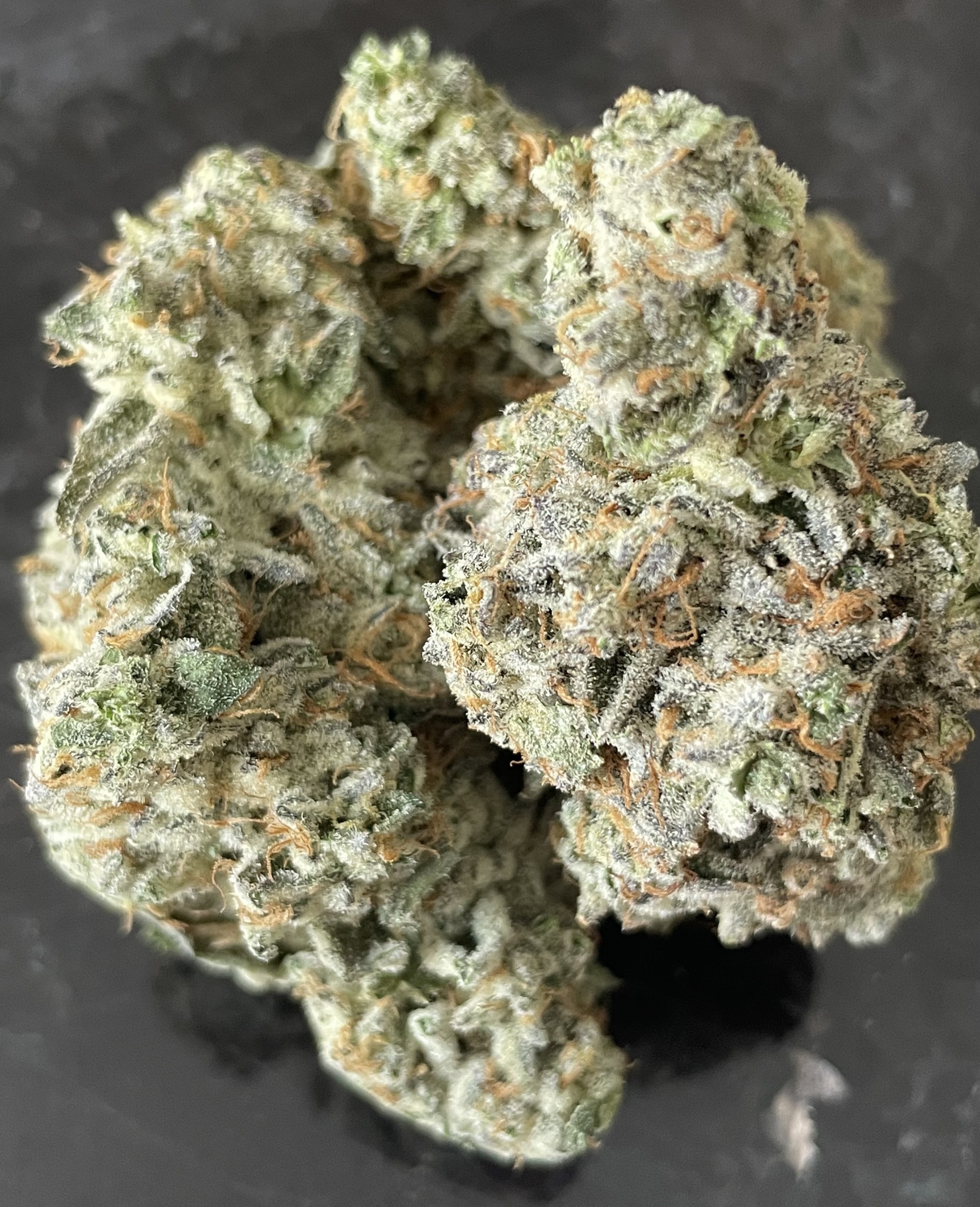 COFFEE CREAM - BC Bud