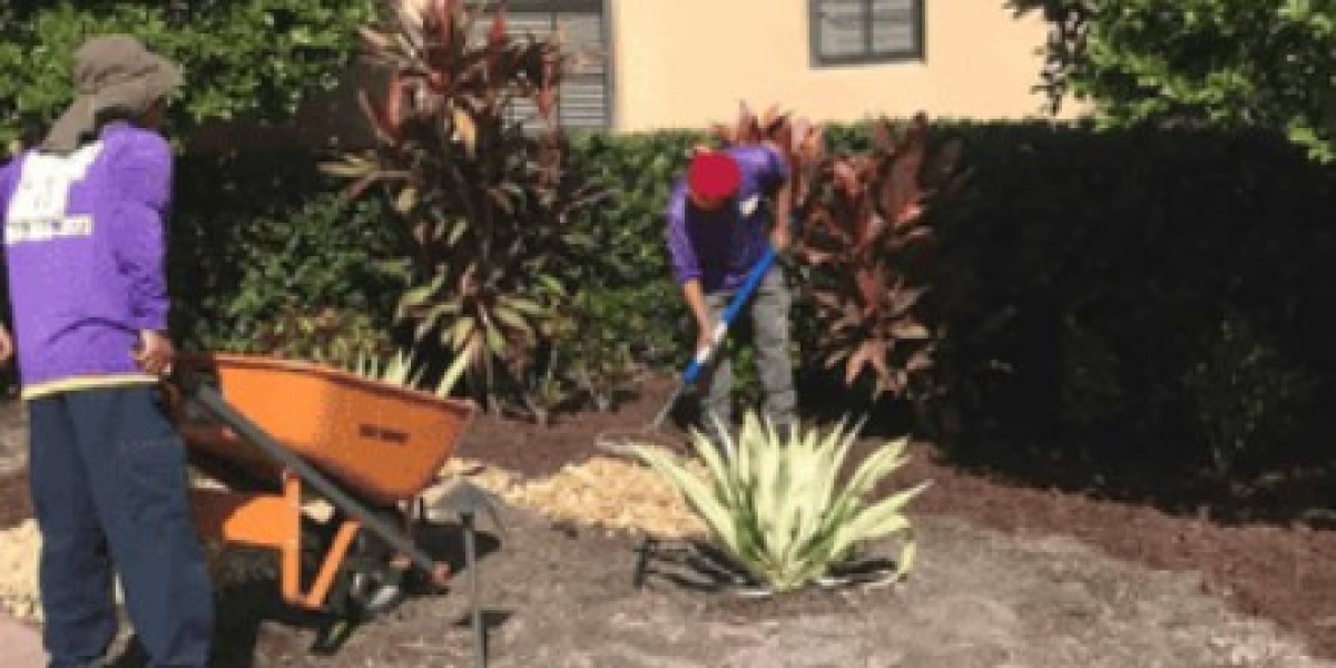Lawn Mowing in Longboat Key: Maintaining Your Coastal Paradise