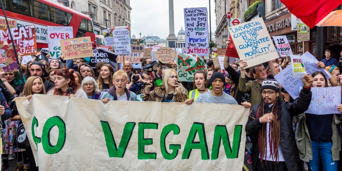Debunking Myths About Grass-Fed Beef Cruelty`