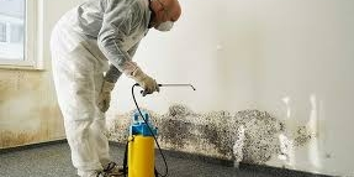 The Ultimate Guide to Mold Damage Restoration: Tips and Techniques for a Healthy Home
