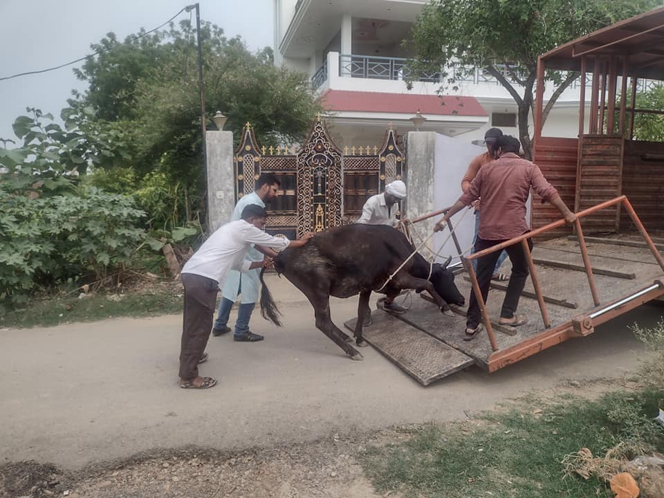 NGO in Varanasi For Education, Health : Kashi Educare Society