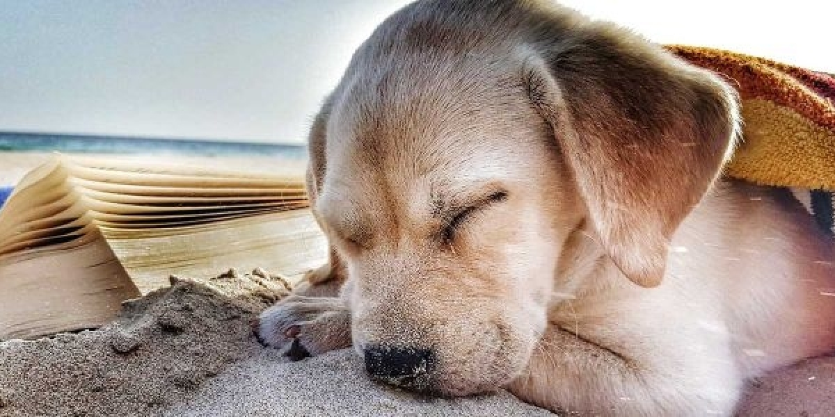 Unknown Facts About Beach House Rentals North Myrtle Beach   By The Experts