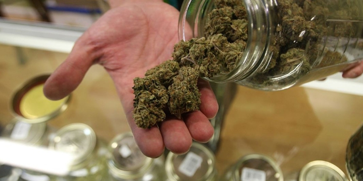 5 Must-Try Cannabis Strains in Brooklyn