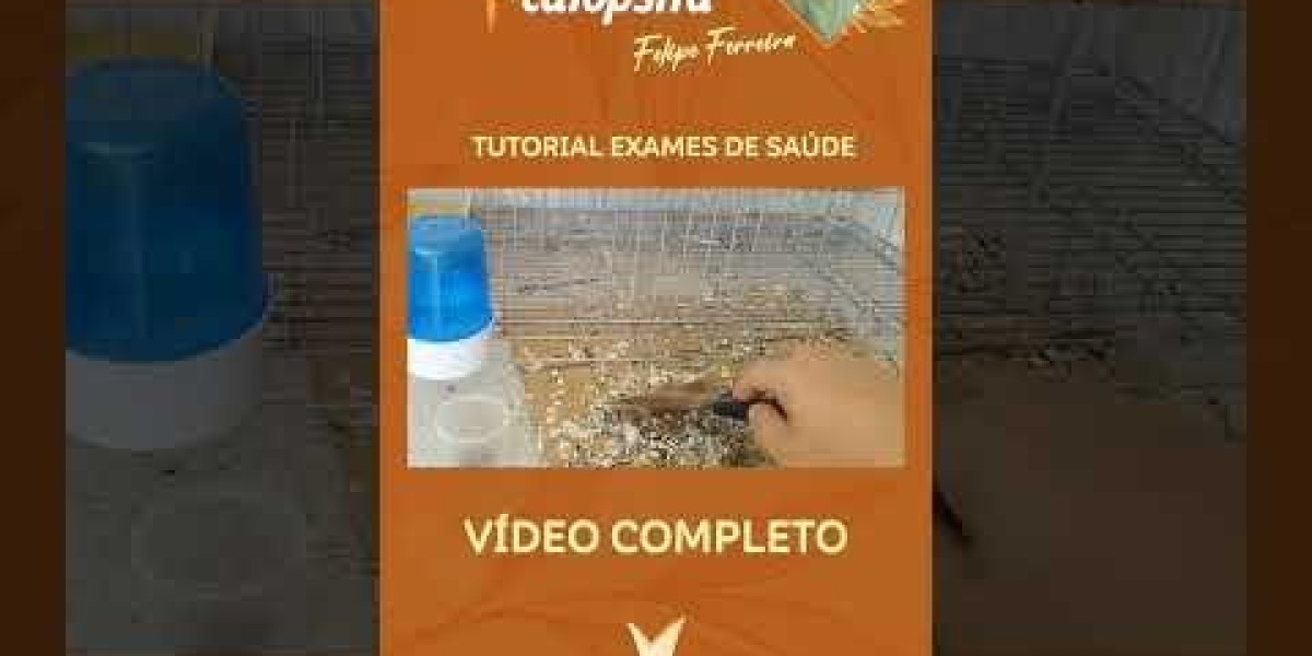 Las 13 partes del riñón humano y sus funciones