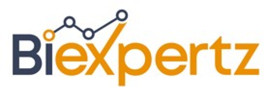 BI Expertz Cover Image