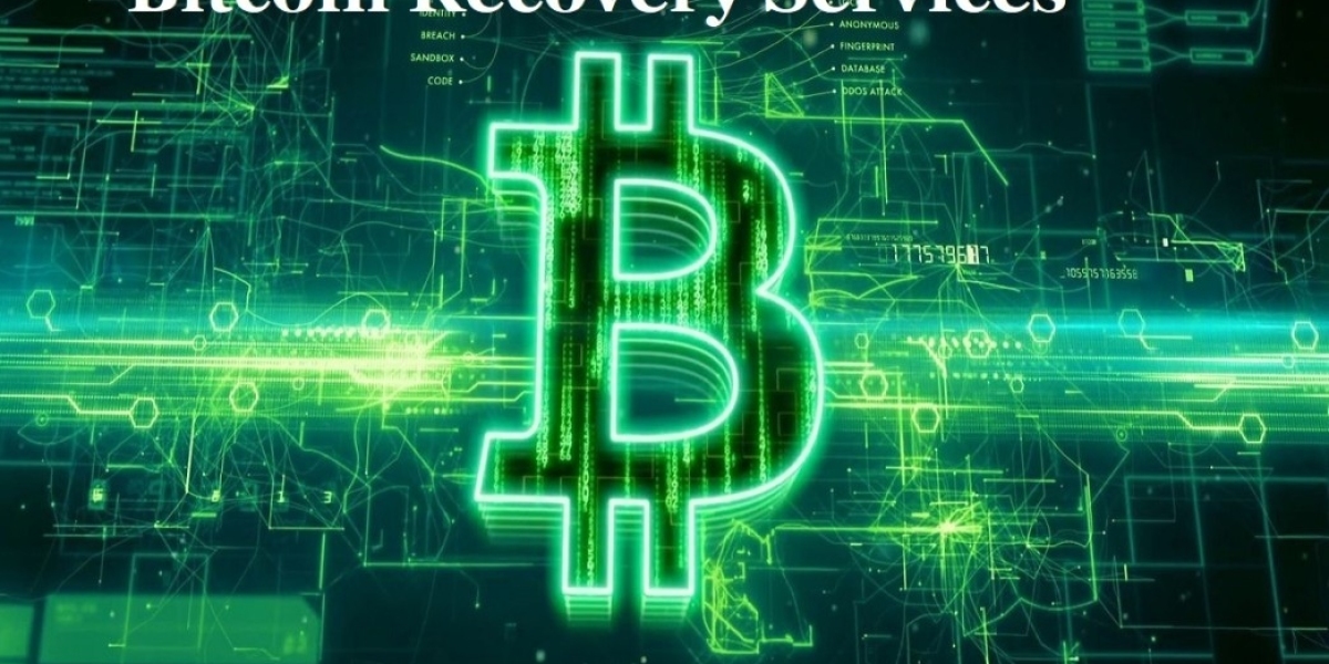 Scourge of the Coins: Bitcoin Scam Recovery