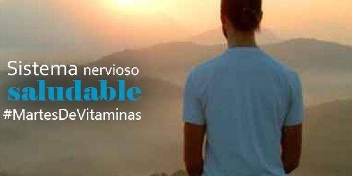 Té de ruda: Para qué sirve y cuáles son los beneficios para la salud