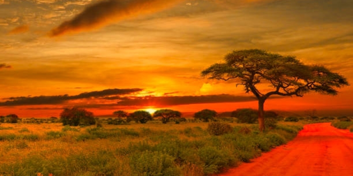 Tips for Planning the Perfect Trip to the Mombasa Tsavo Safari