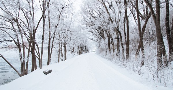 Lekhait's answer to What are 15 sentences about winter? - Quora
