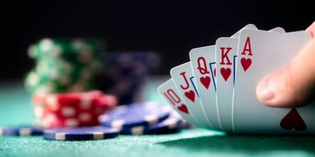 From Novice to Expert: Your Journey in Satta King