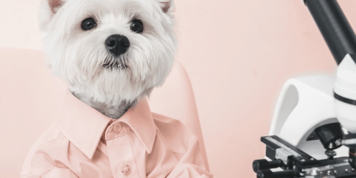 Understanding Elevated Liver Enzymes In Dogs: Causes And Treatments