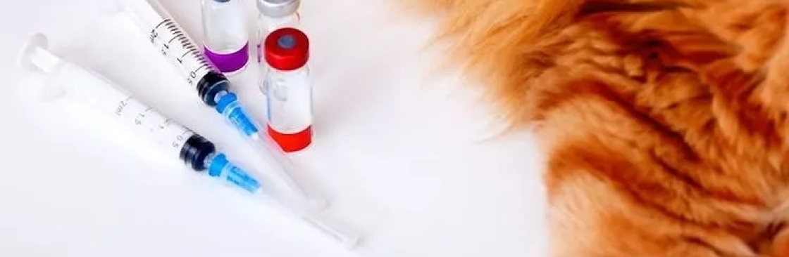 Silverado Veterinary Hospital Cover Image