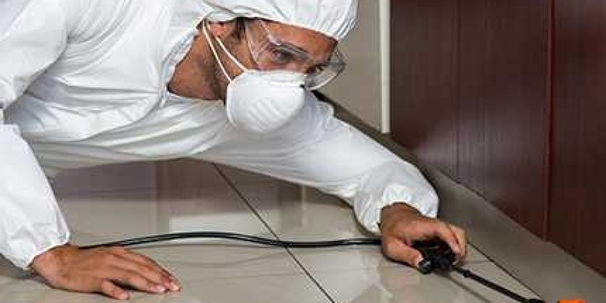 Best Pest Control Services in Granville: Your Guide to a Pest-Free Home