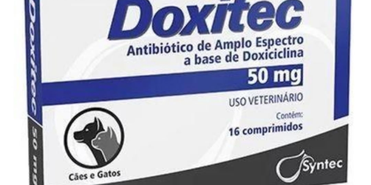 Los 10 parámetros más importantes en un análisis de sangre de perros y gatos El blog de los clientes JG
