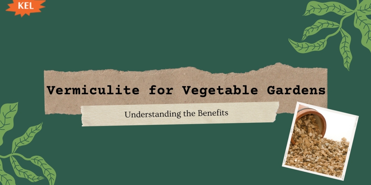 Understanding the Benefits of Vermiculite in Vegetable Gardens