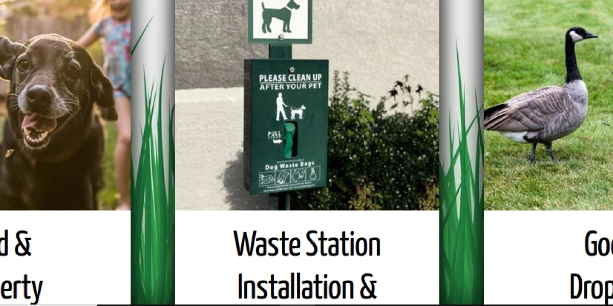 Keeping Kalamazoo Clean: The Importance of Pooper Scooper Services!