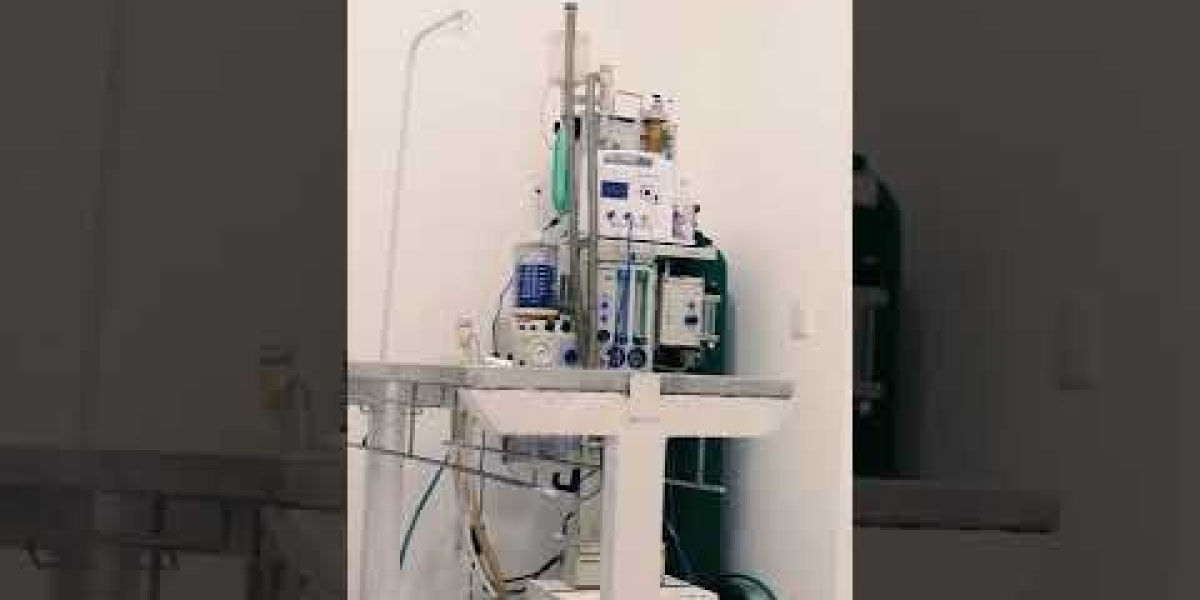 Descubra Tudo Sobre o Preço do Exame de Cinomose: Informações Essenciais para Proteger Seu Pet