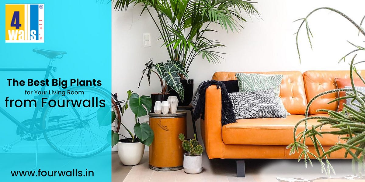 The Best Big Plants for Your Living Room from Fourwalls | by Fourwalls | Aug, 2024 | Medium