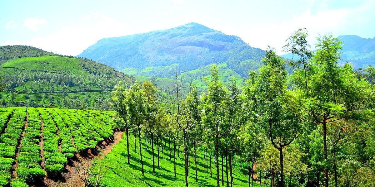 Top Attractions on Your South Kerala Tour Adventure