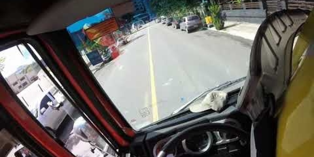 Los ataques de pánico y el trastorno de pánico Diagnóstico y tratamiento