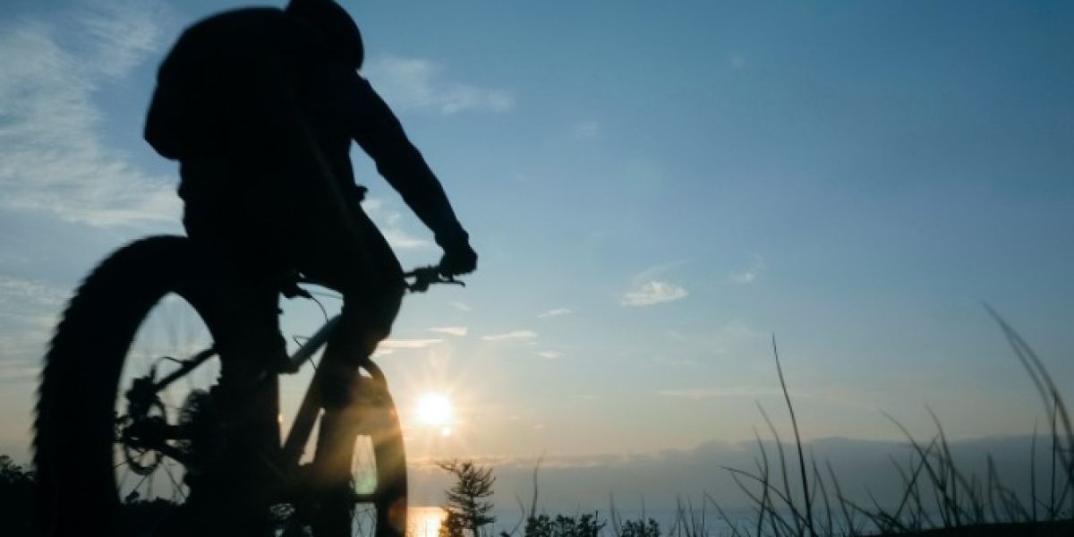 High-Performance Electric Dirt Bikes for Every Adventure
