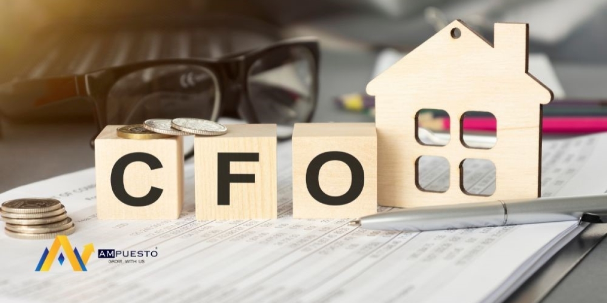 How Can Virtual CFO Services Support Business Startups?