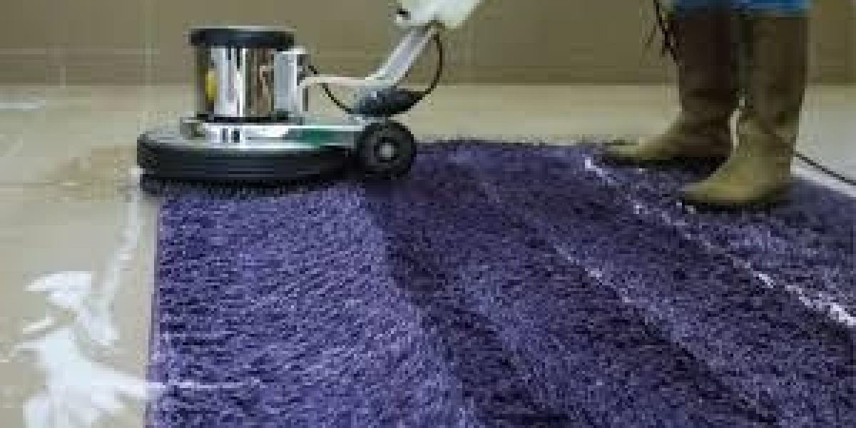 Best Home Carpet Cleaner in Denver, CO