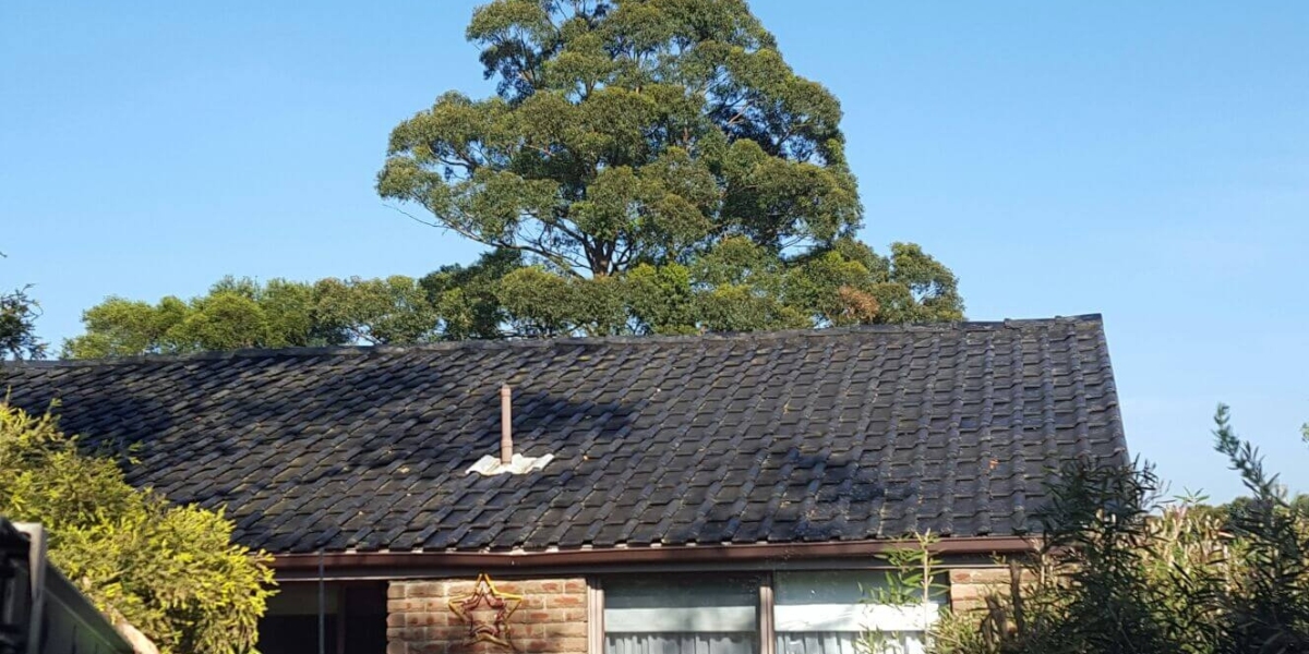 Keep Your Roof in Top Shape with Able Roof Restoration – Sydney’s Premier Roof Cleaning Service