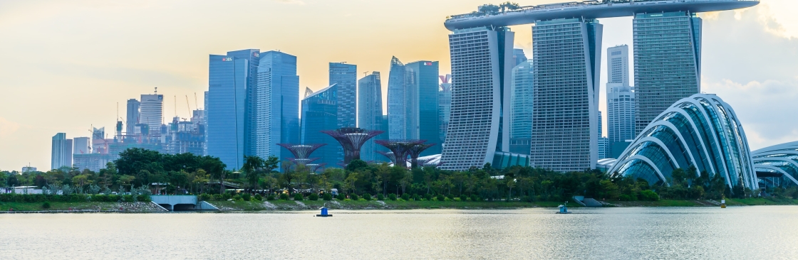 Singapore Probate Lawyer Cover Image