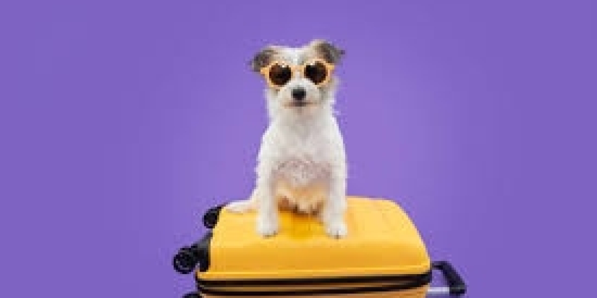 Dog Suitcase: The Ultimate Travel Companion for Your Furry Friend