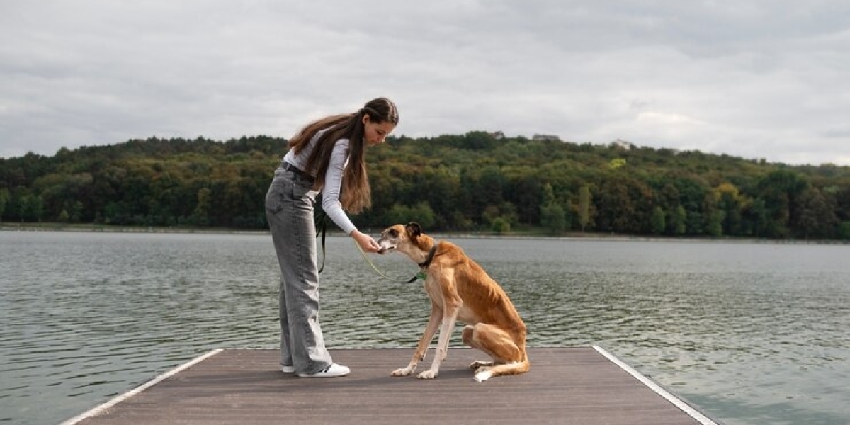 The Benefits of Professional Dog Sitting Services