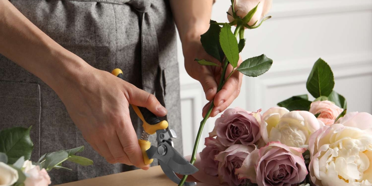 Tips for buying cut flowers online for newbie flowers lover